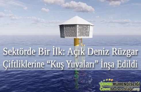 acik deniz kus yuvalari