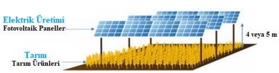 agrivoltaik sistemler