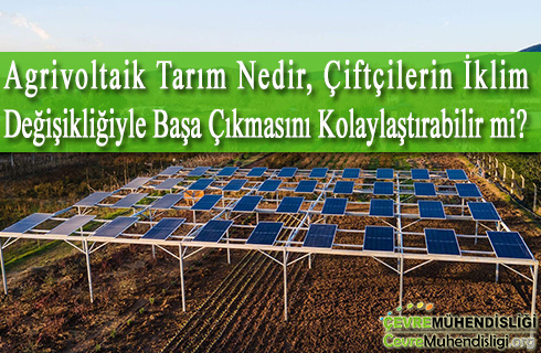agrivoltaik tarim
