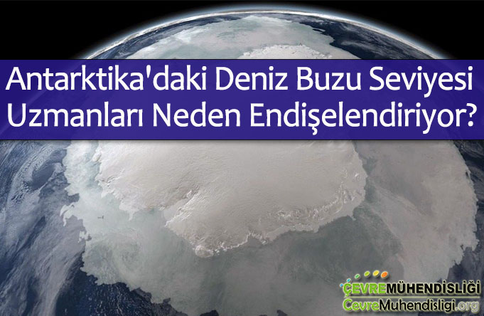 antarktikadaki deniz buzu seviyesi