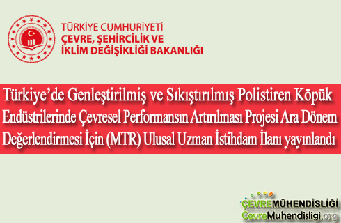 ara degerlendirme uzmani istihdami