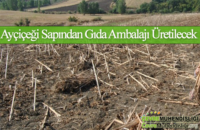 aycicegi sapindan gida ambalaji