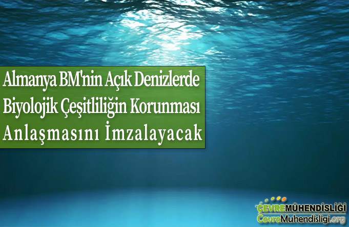 biyolojik cesitliligin korunmasi anlasmasi