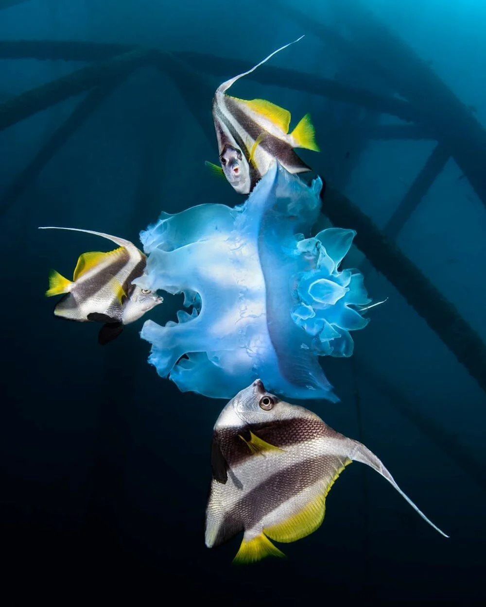 cevre fotografciligi 16