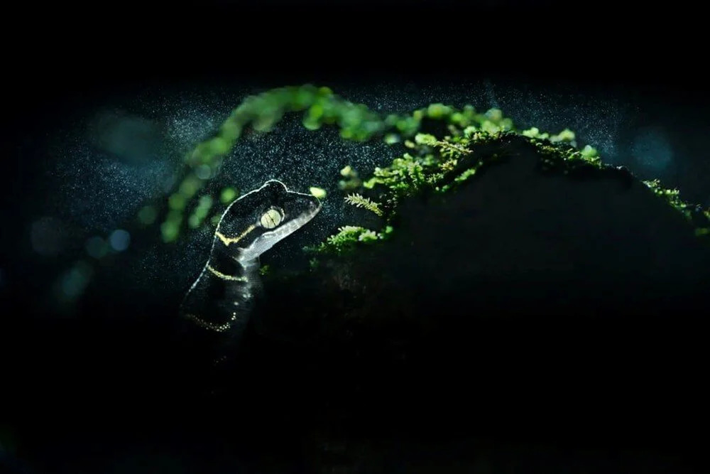 cevre fotografciligi 7