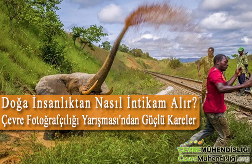 cevre fotografciligi