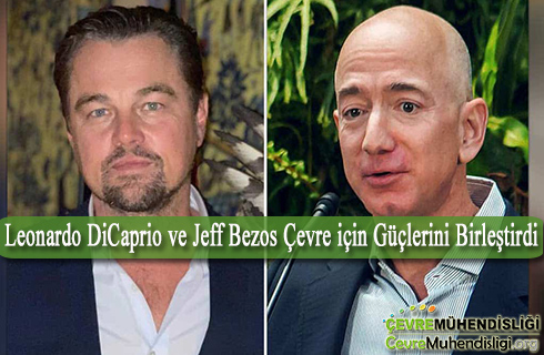 cevre icin guclerini birlestirdiler