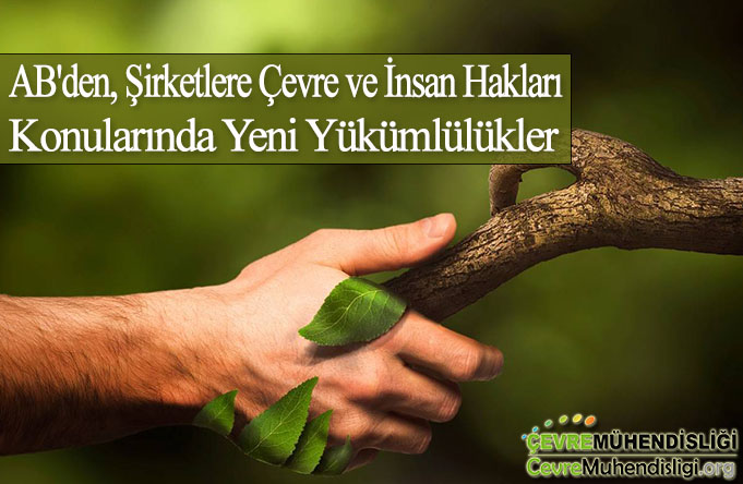 cevre ve insan haklari