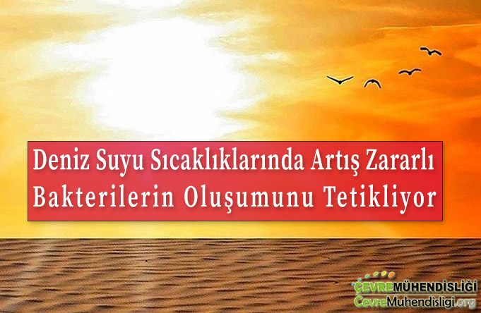 deniz suyu sicakligi artiyor