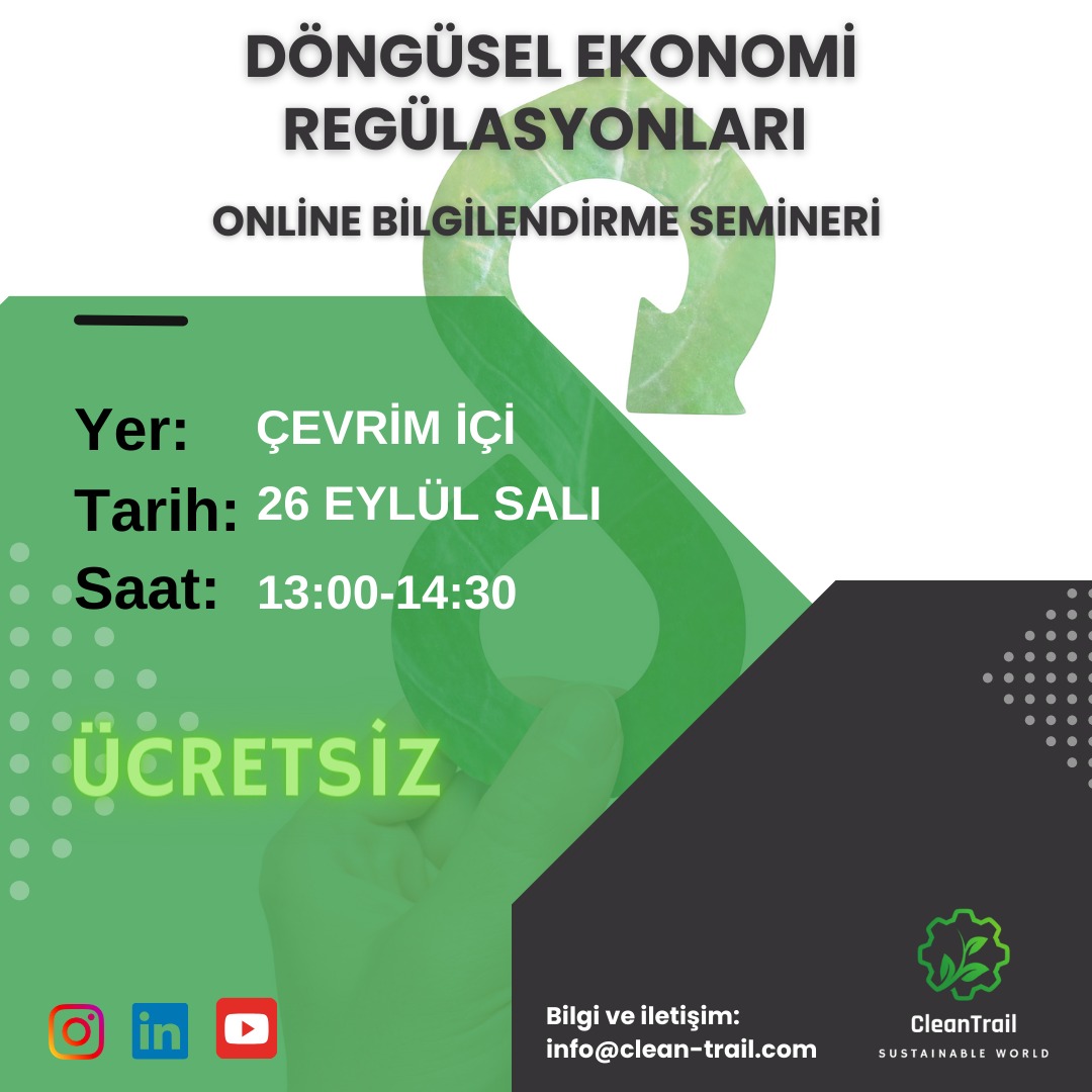 dongusel ekonomi regulasyonlari