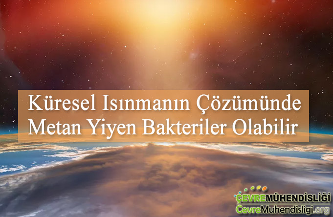 kuresel isinmanin cozumunde metan yiyen bakteriler
