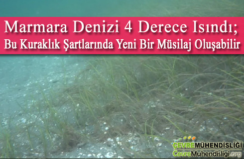 marmarada musilaj olusabilir