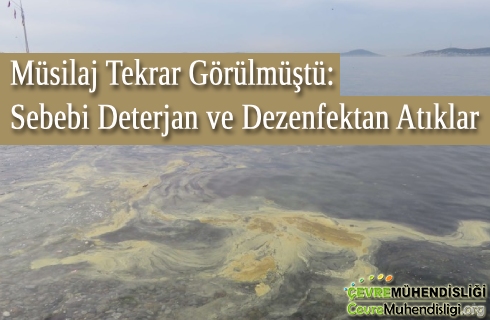 musilaj gorulme nedeni