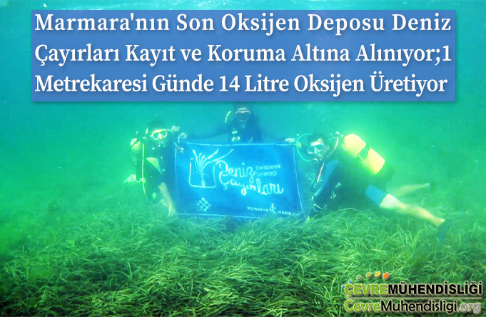 oksijen deposu deniz cayirlari