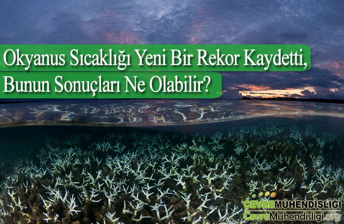 okyanus sicakliginda artis