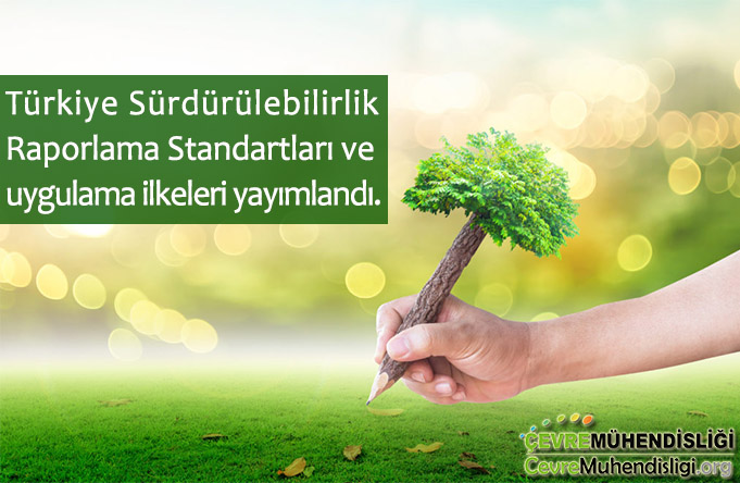 surdurulebilirlik raporlama standartlari