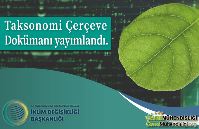 taksonomi cerceve dokumani