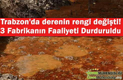 trabzonda derenin rengi degisti