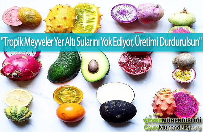tropik meyveler yer alti sulari