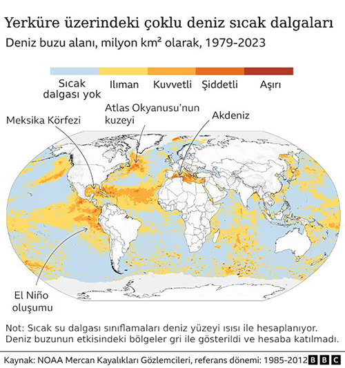 yerkure uzerindeki coklu deniz sicak dalgalari
