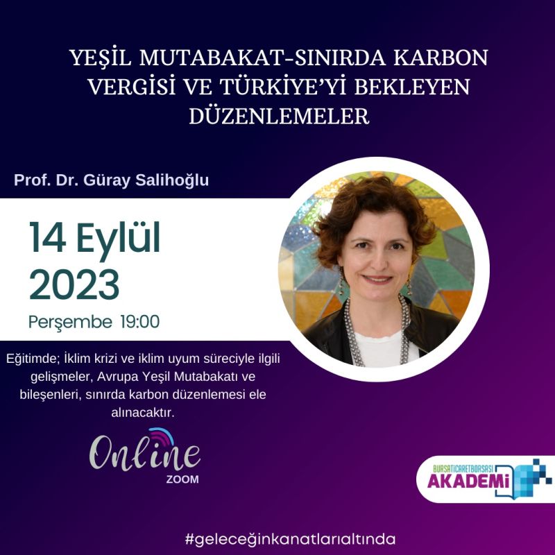 yesil mutabakat sinirda karbon vergisi