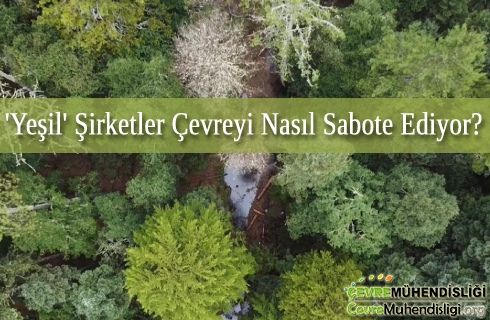 yesil sirketler cevreyi nasil sabote ediyor