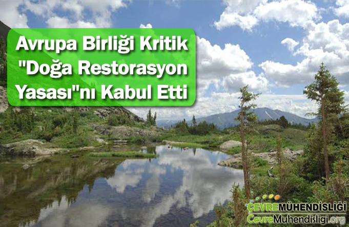 doga restorasyon yasasi