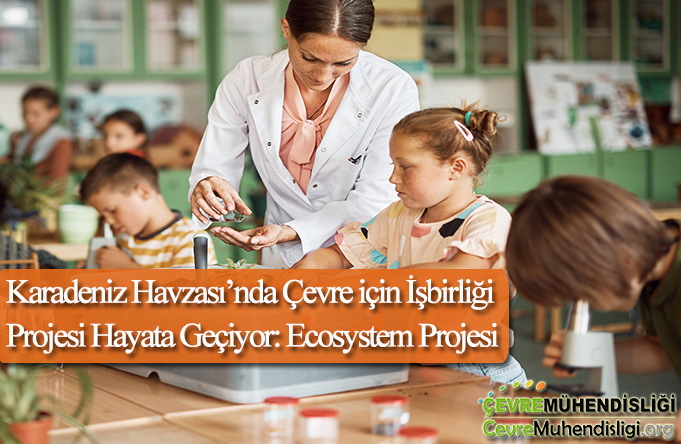 ecosystem projesi