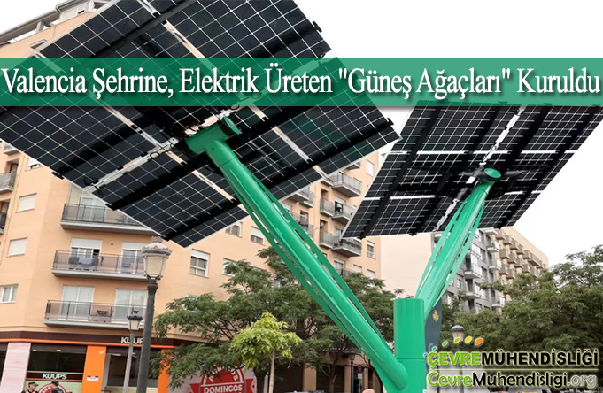 elektrik ureten gunes agaclari
