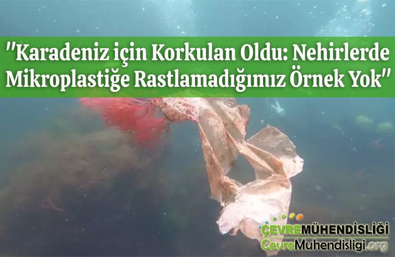 karadeniz mikroplastik