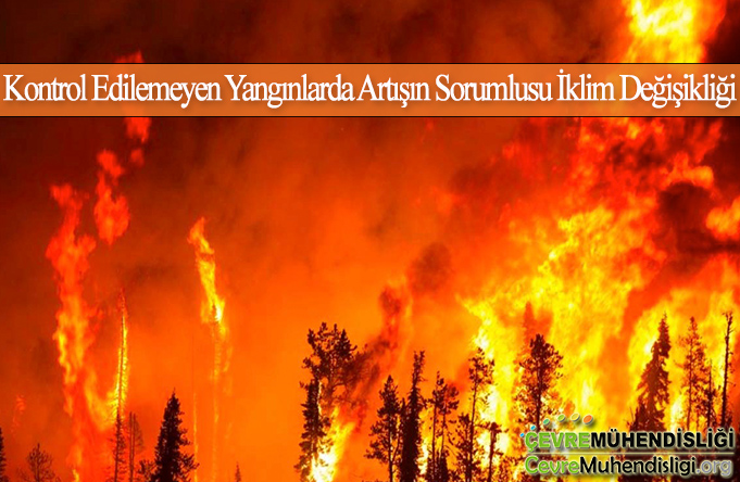 kontrol edilemeyen yanginlar sorumlusu iklim degisikligi