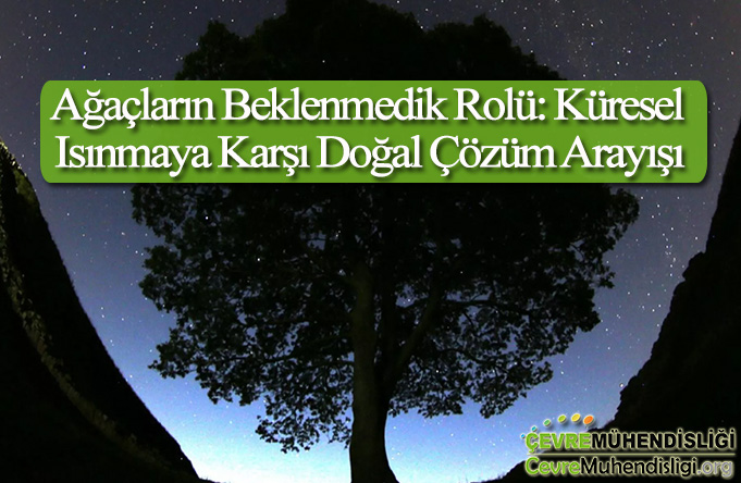 kuresel isinmada agaclarin bilinmeyen rolu