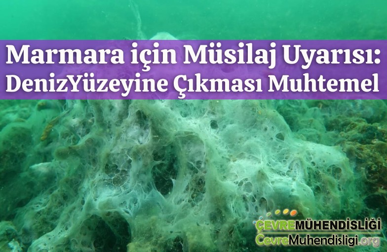 marmara icin musilaj uyarisi