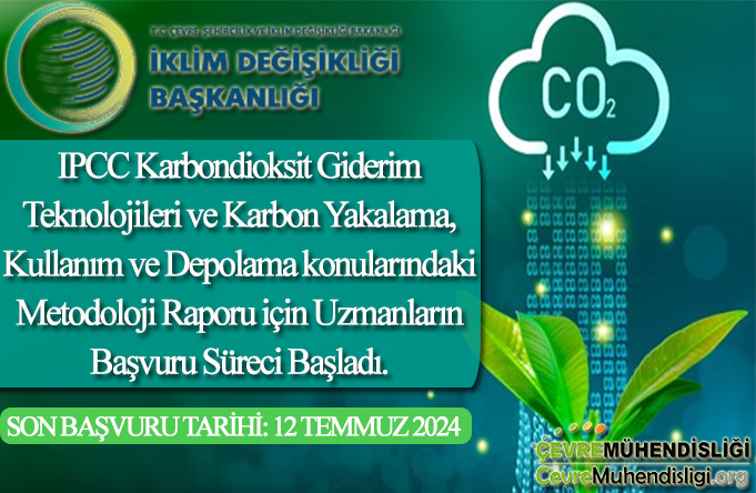 metadoloji raporu icin uzman basvurusu