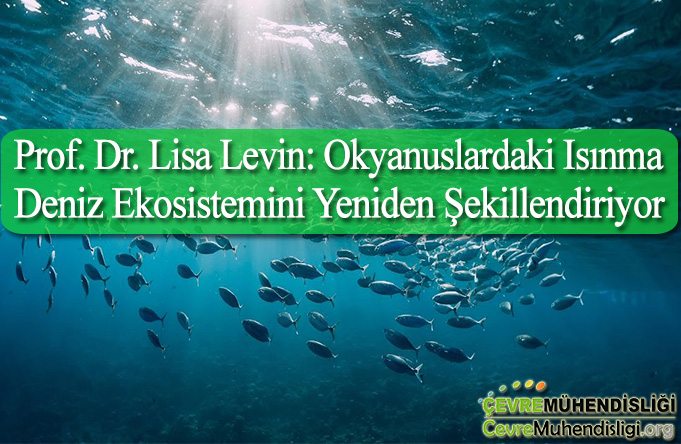 okyanuslardaki isinma