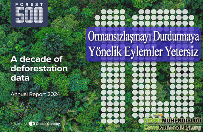 ormansizlasmaya karsi eylemler