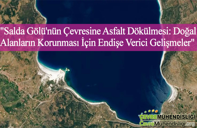 salda golunun cevresine asfalt