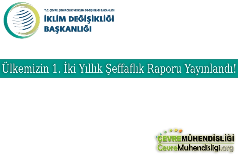 seffaflik raporu