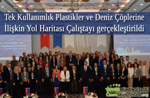 tek kullanimlik plastikler ve deniz copleri