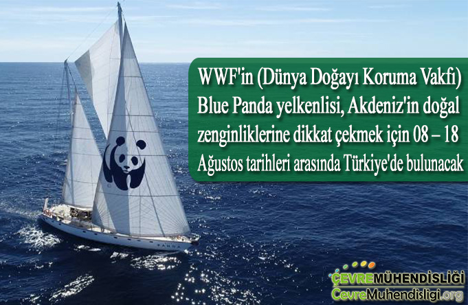wwf blue panda yelkenlisi