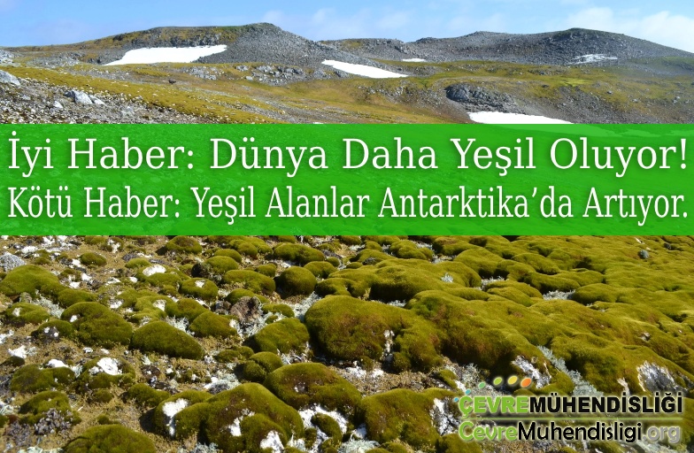 yesil alan artiyor