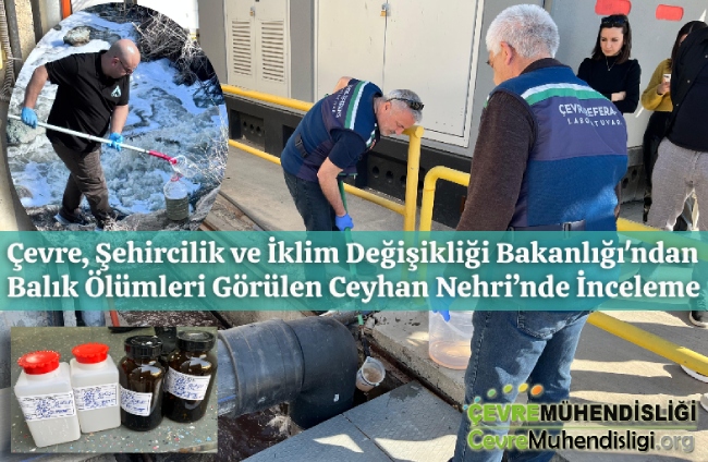 balik olumleri gorulen ceyhan nehrinde inceleme