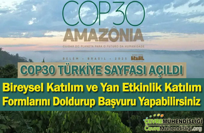 cop29 turkiye