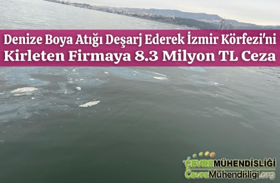 denize boya atigi desarjina ceza