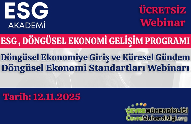 dongusel ekonomiye giris ucretsiz webinar