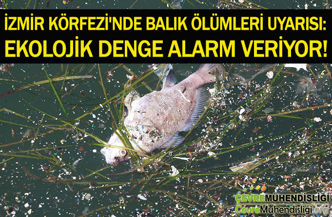 ekolojik denge alarm veriyor