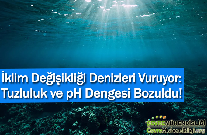 iklim degisikligi denizleri vuruyor