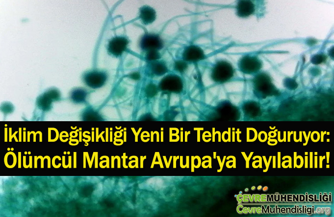 iklim degisikliginin yeni tehditi