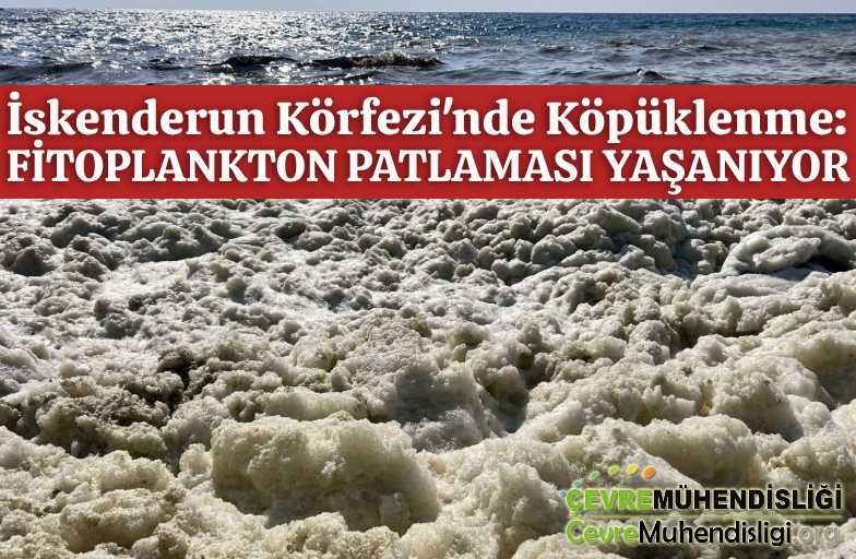 iskenderun korfezinde kopuklenme