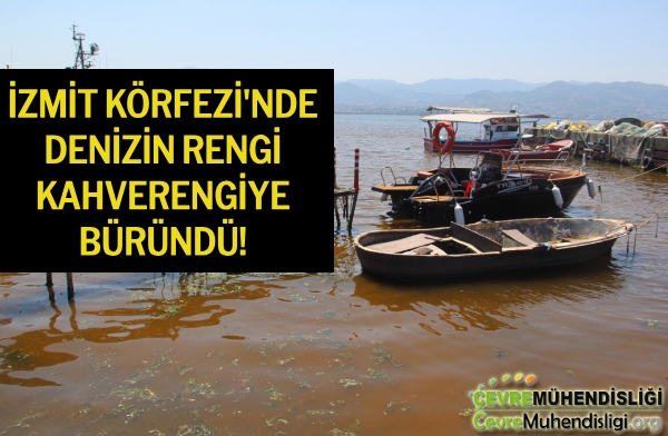 izmit korfezinde denizin rengi kahverengi